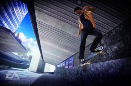 Скриншот из игры «Skate»