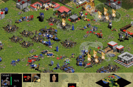 Скриншот из игры «Age of Empires»