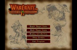 Скриншот из игры «Warcraft II: Tides of Darkness»