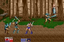 Скриншот из игры «Golden Axe II»